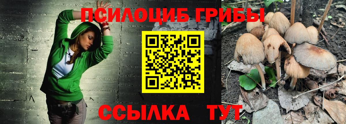 Псилоцибиновые грибы ЛСД Краснодар