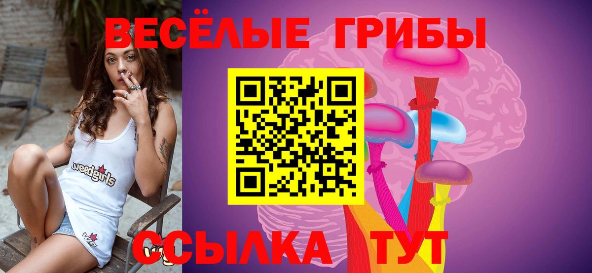 Краснодар  Галлюциногенные грибы прущие грибы  Галлюциногенные грибы GOLDEN TEACHER  Вход с VPN 